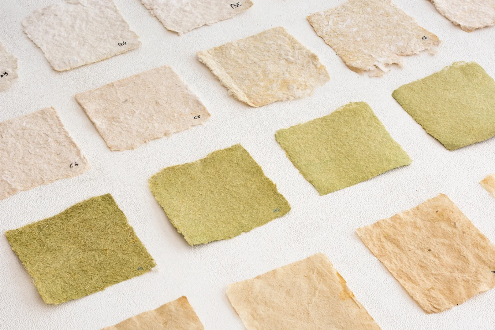 让蒲苇化身可持续设计原料