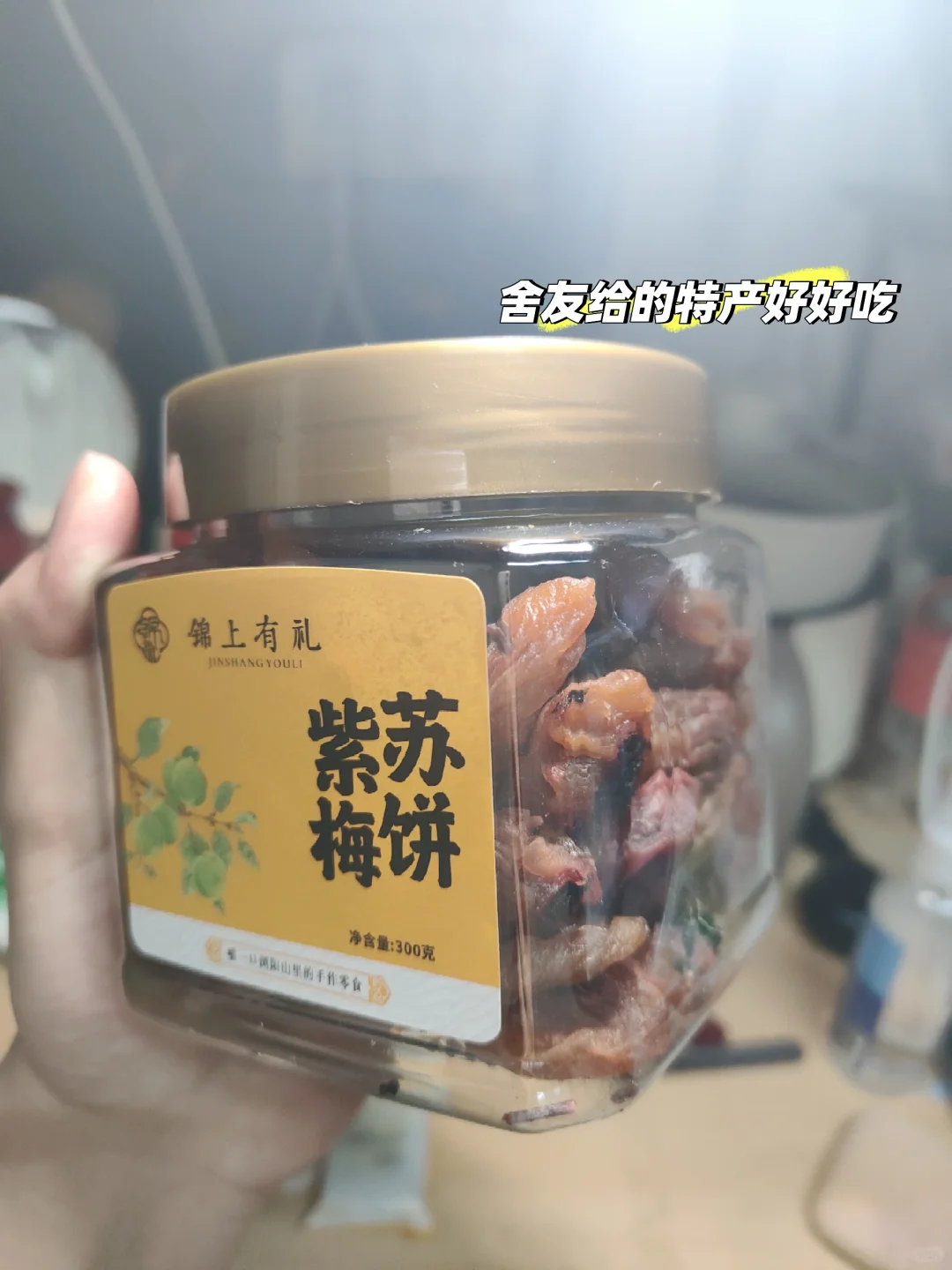 中南国际文化节