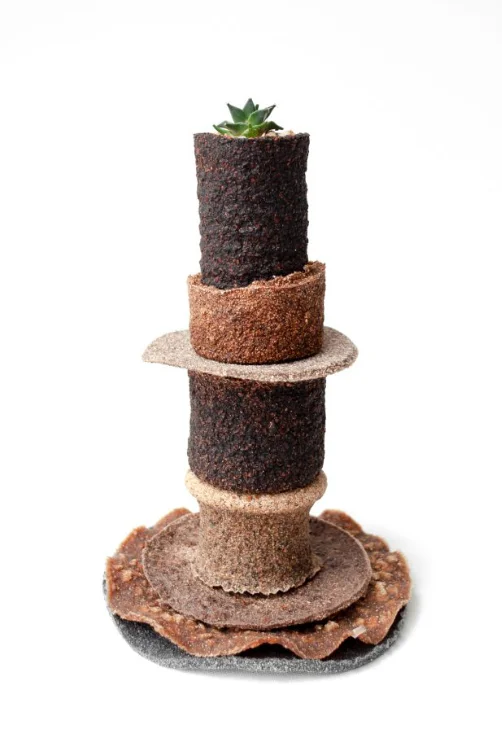 食物残渣的重生