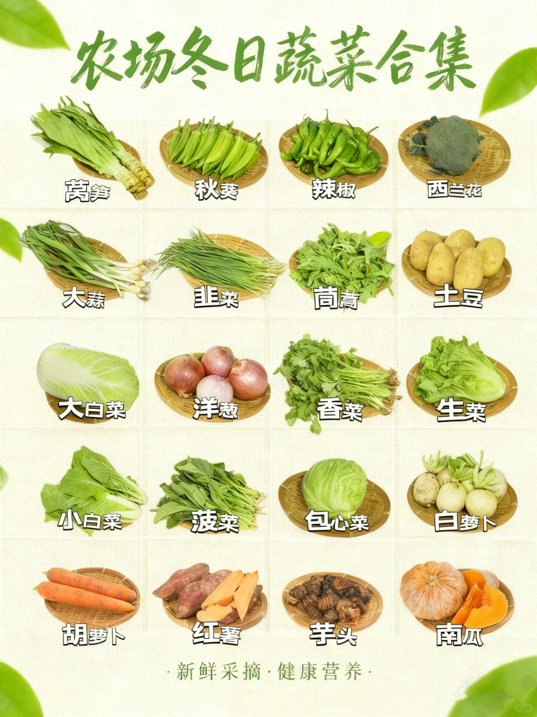 ?冬日农场蔬菜合集来啦！