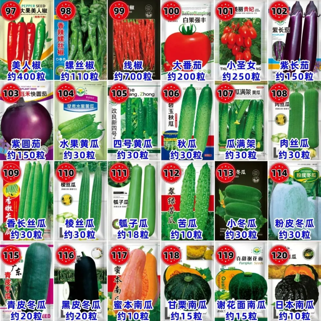 原来种子也有这么多呢