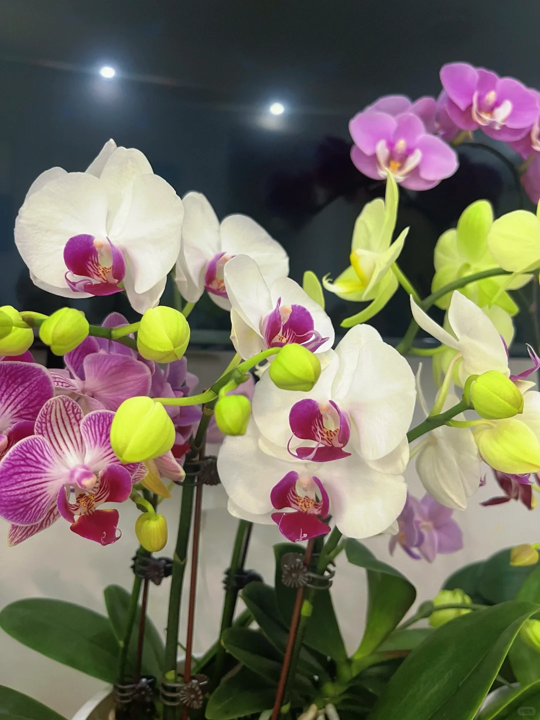 奉劝大家入坑需谨慎?