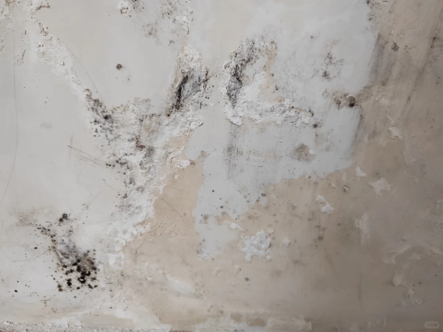 房屋墙体渗水怎么修复