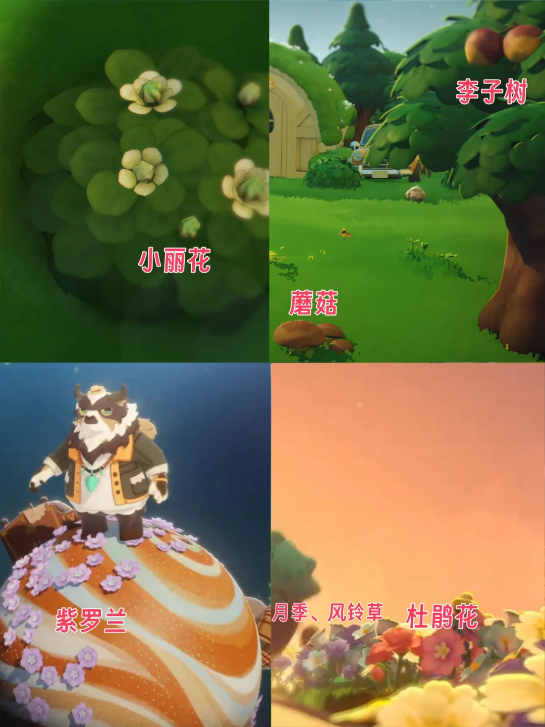 星布谷地PV植物大盘点