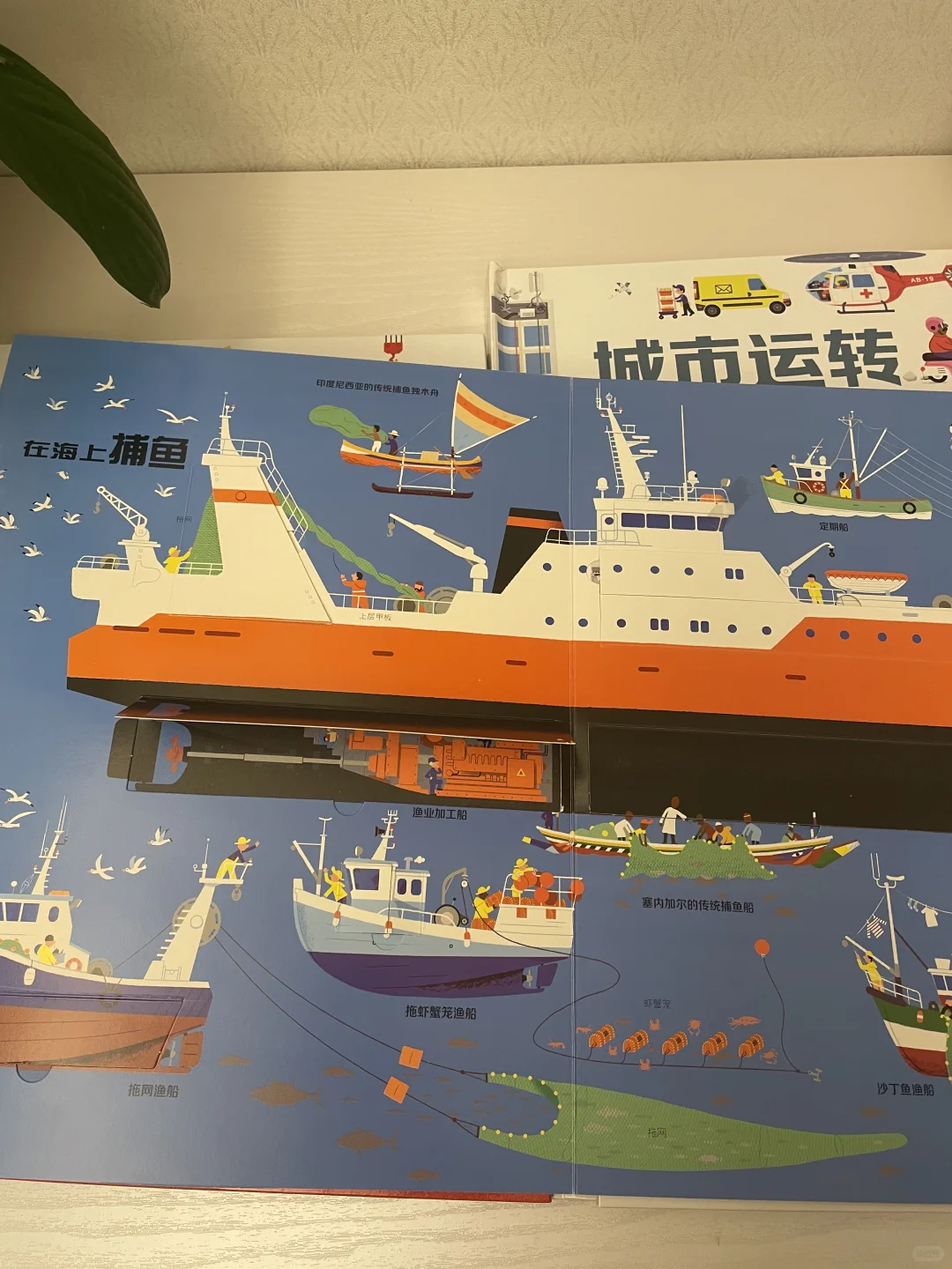 轻科普来喽❗️一书在手，知道多少交通工具