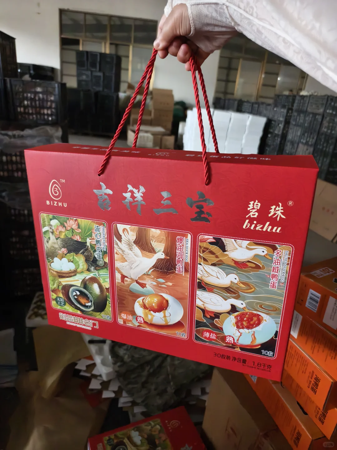 探访团林大型禽蛋工厂——碧珠牌禽蛋