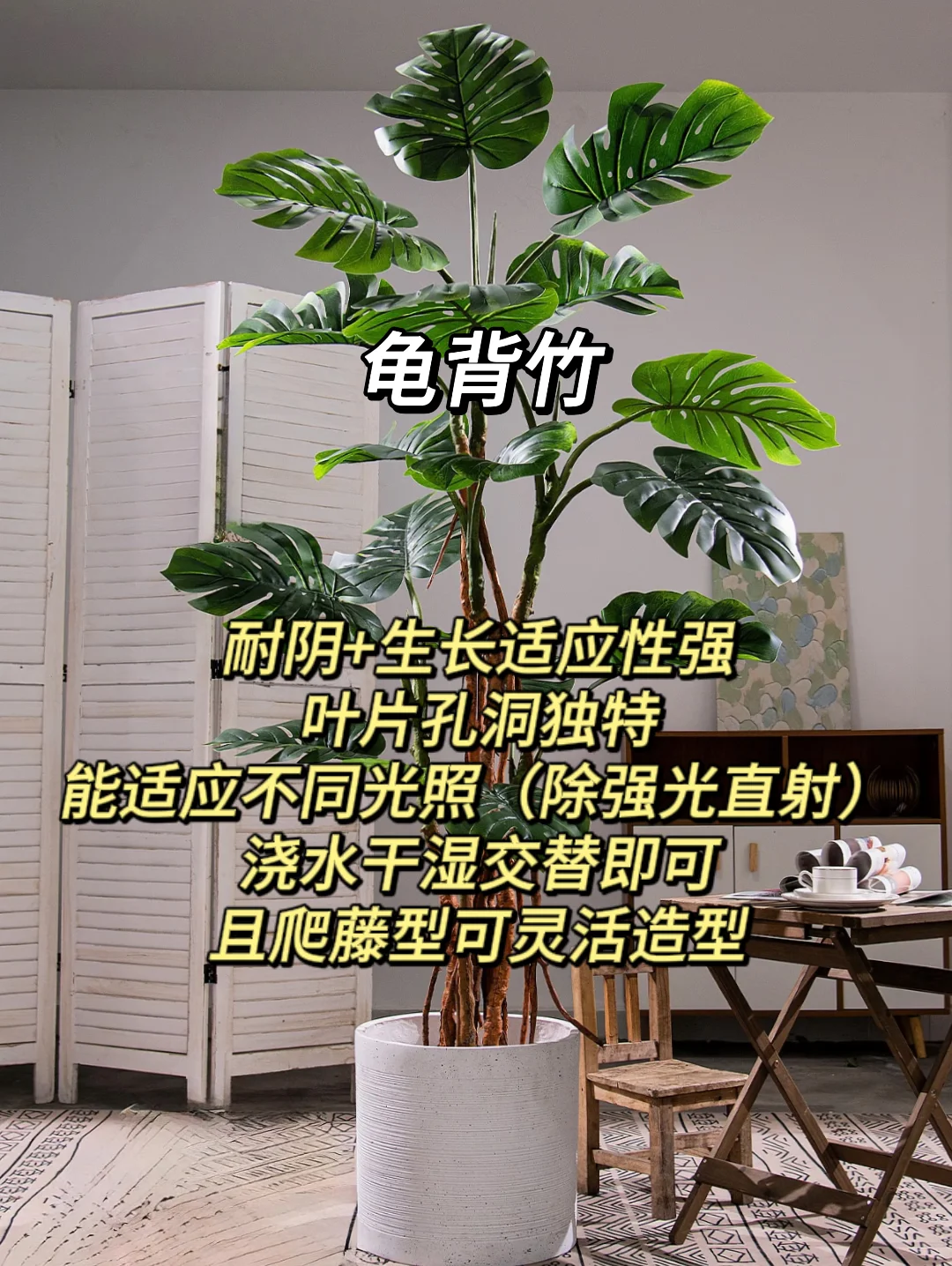 血泪教训！家庭绿植选这些才不踩坑?