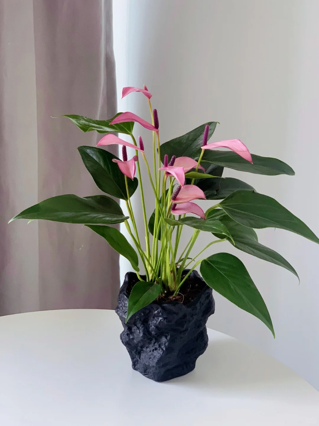 见者好运！紫气东来，好事将要发生！✨