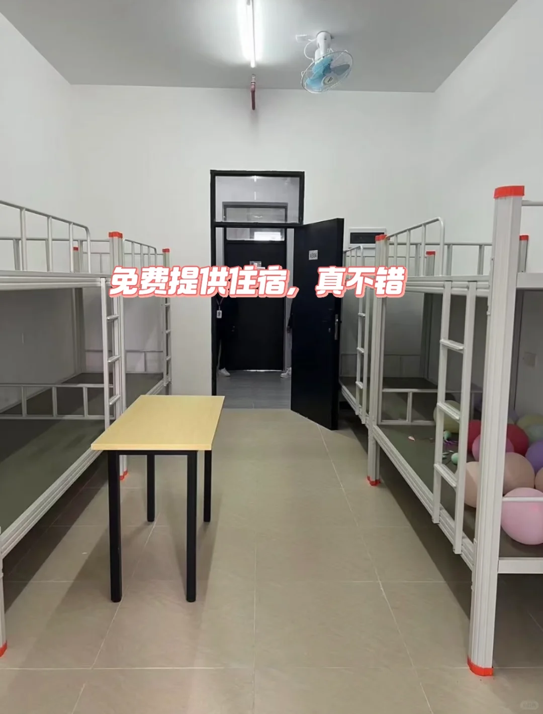 00后勇闯食品厂