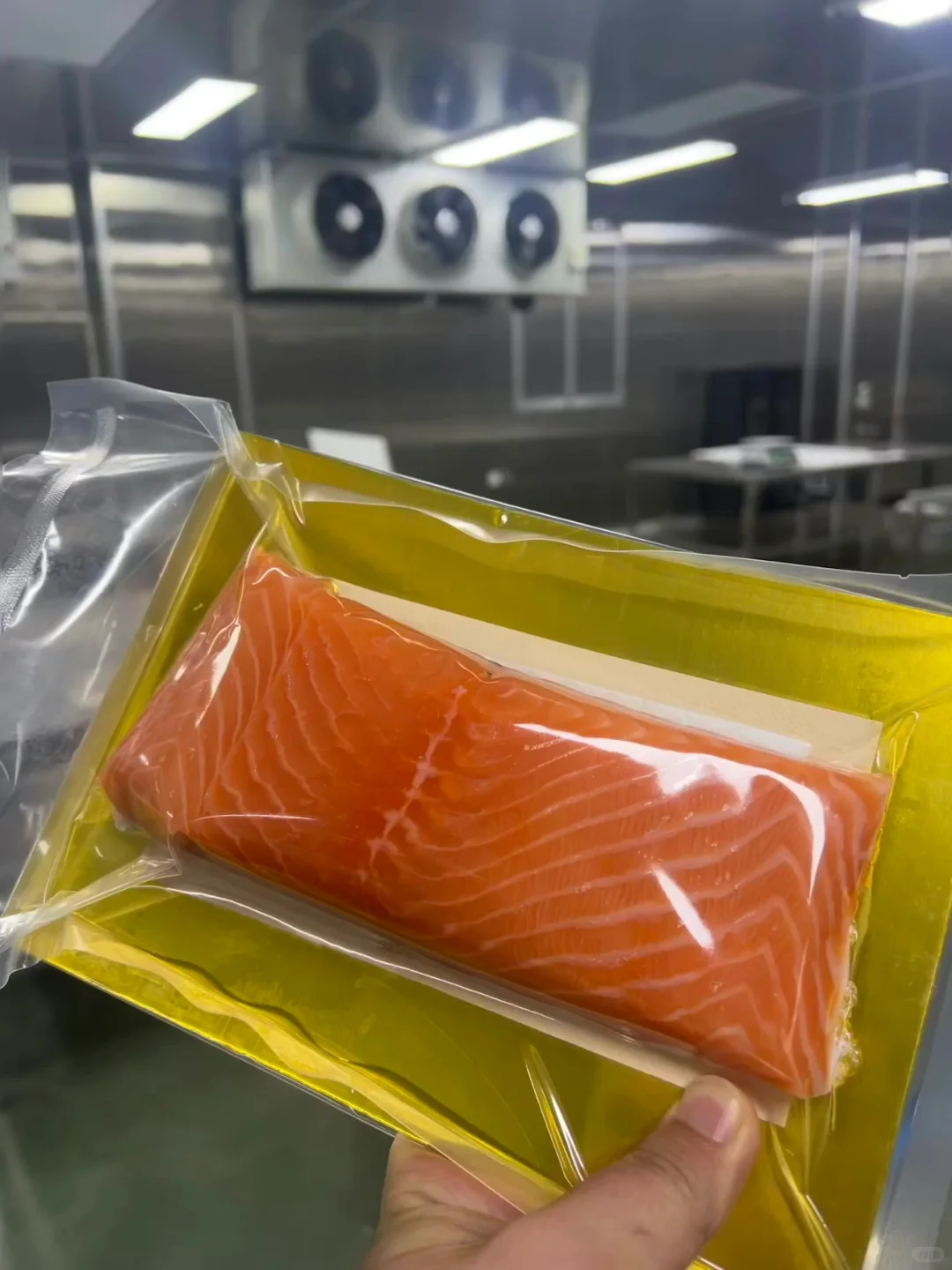 三文鱼工厂寻求合作