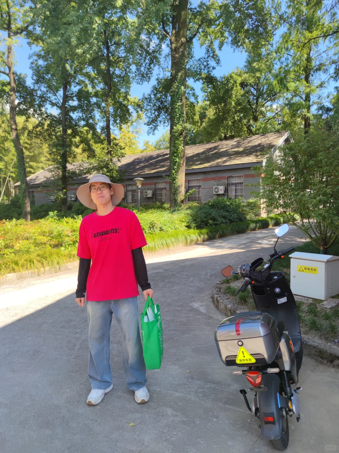林下经济:宝藏就在树下财富与生态共赢