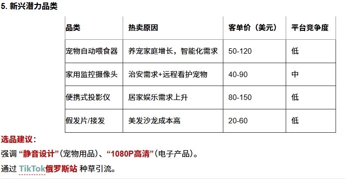 2025俄罗斯市场最适合的中国商品清单