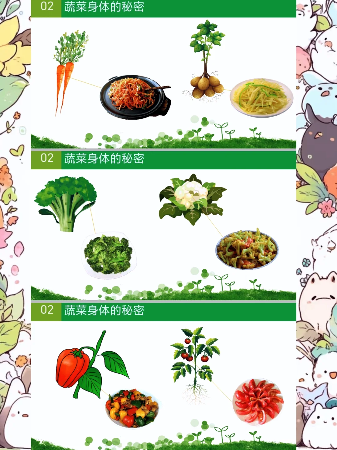 幼师必备，中班科学健康《认识蔬菜》