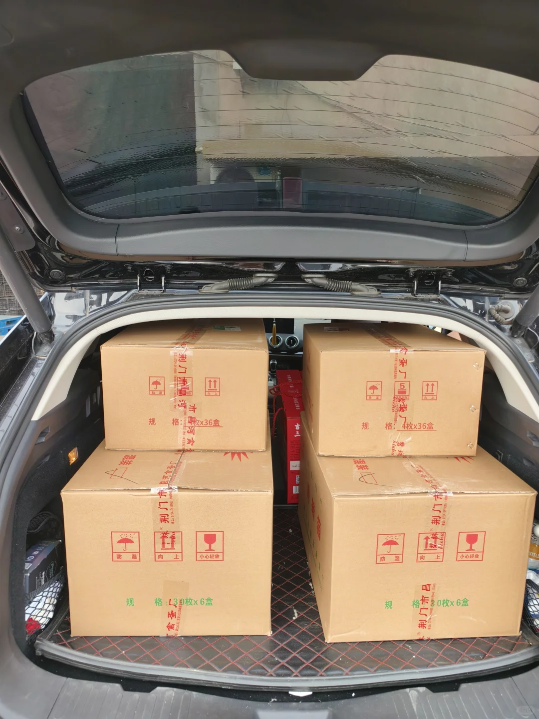 探访团林大型禽蛋工厂——碧珠牌禽蛋