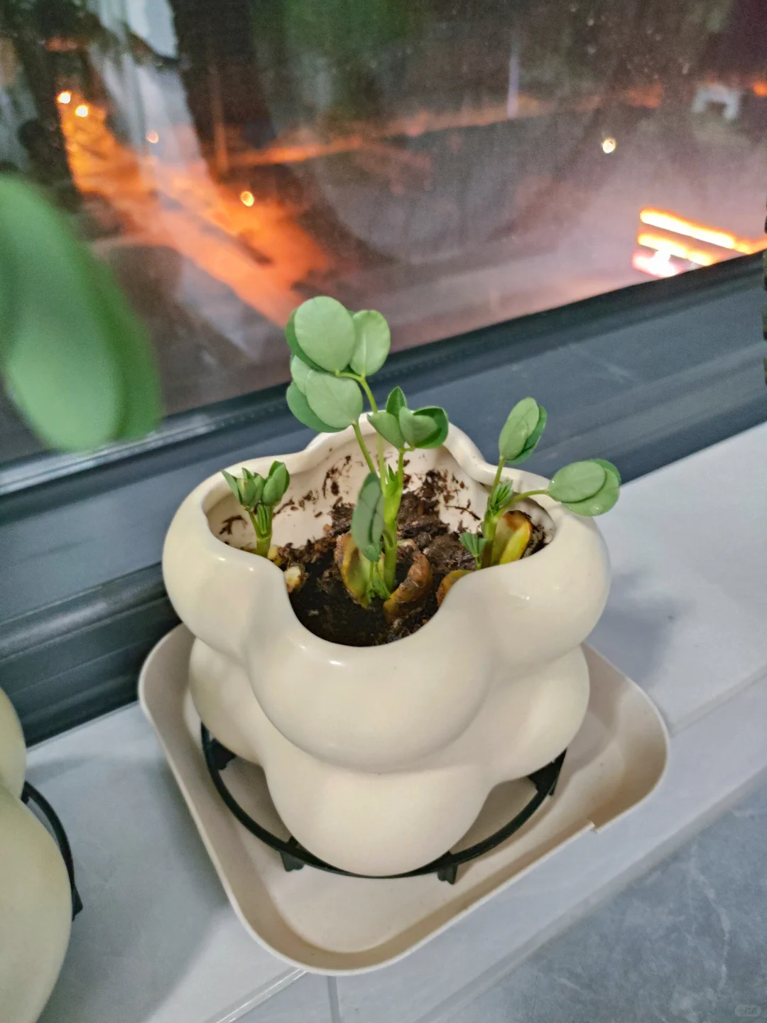 “好事花生”?