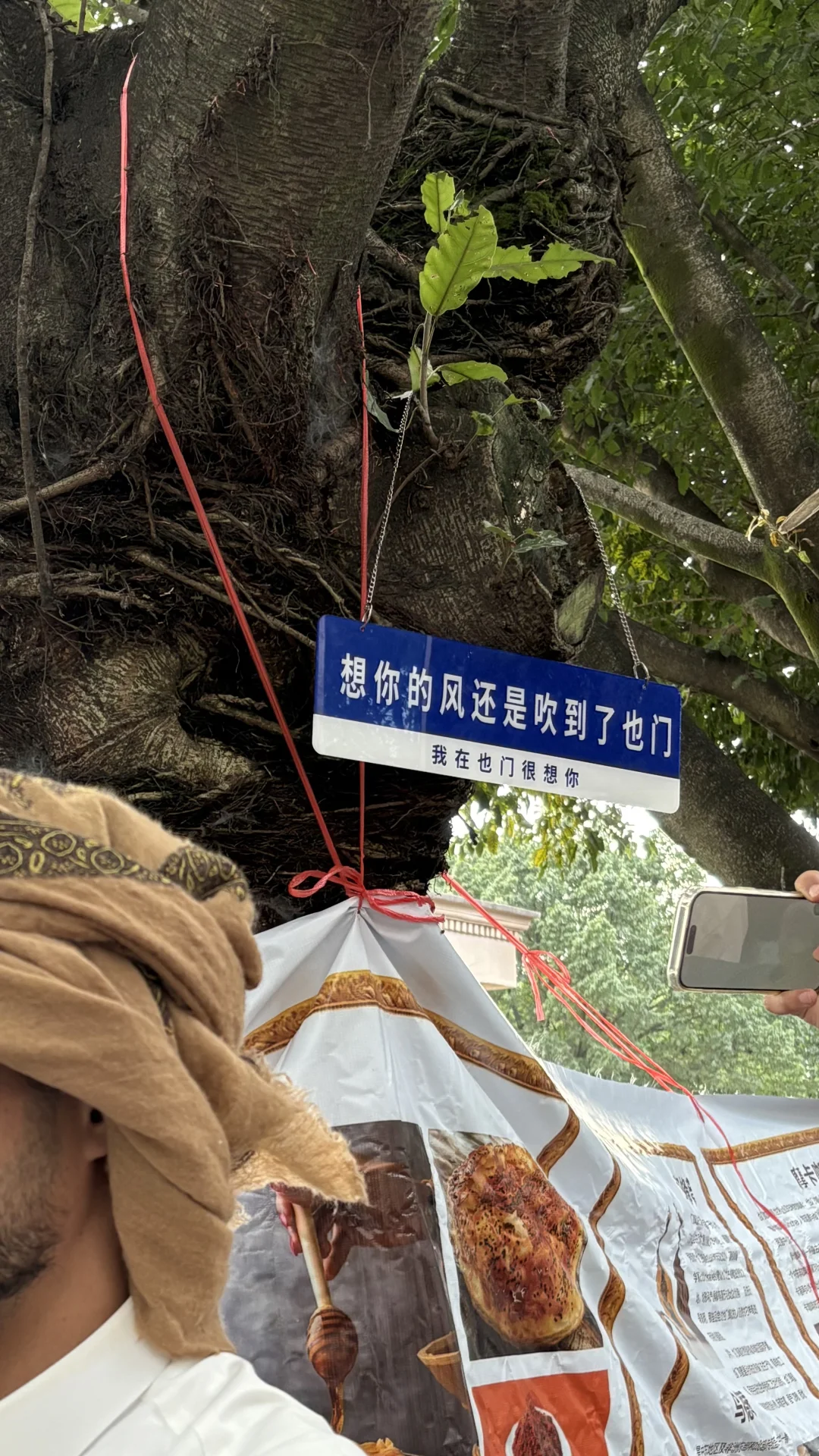 在西政，在爱与和平的旋律里。❤️?️