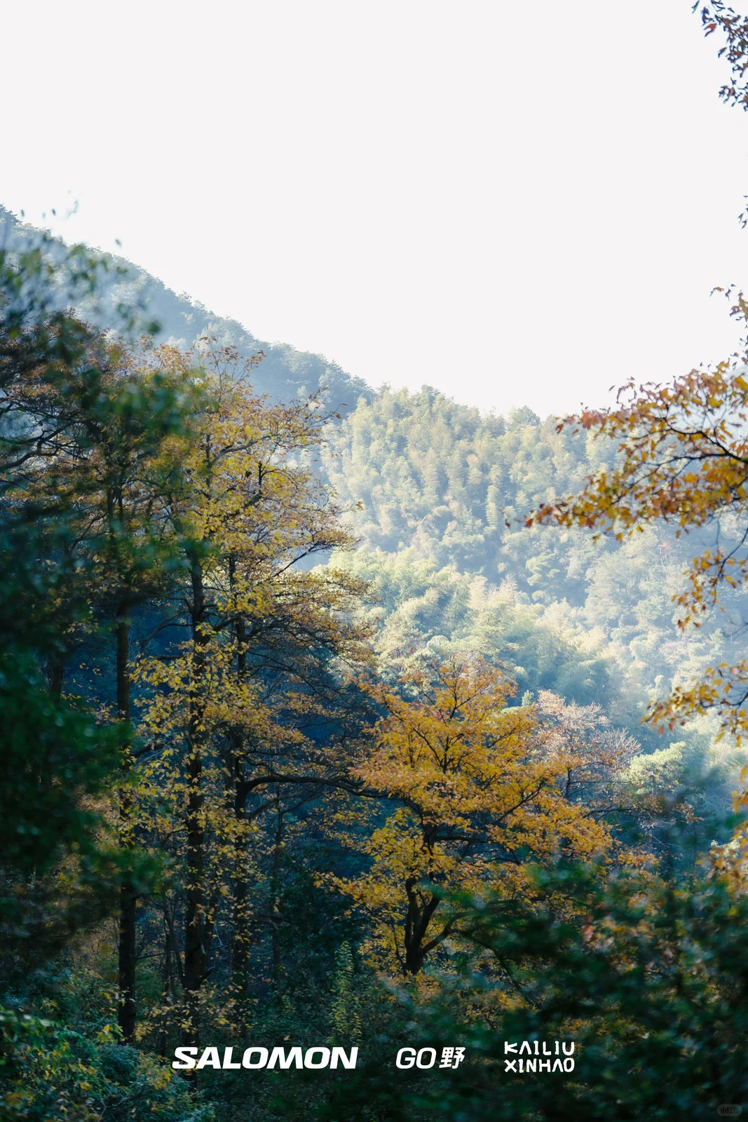 征服瀑布，用汗水为山野做一次SPA@杭州徒步