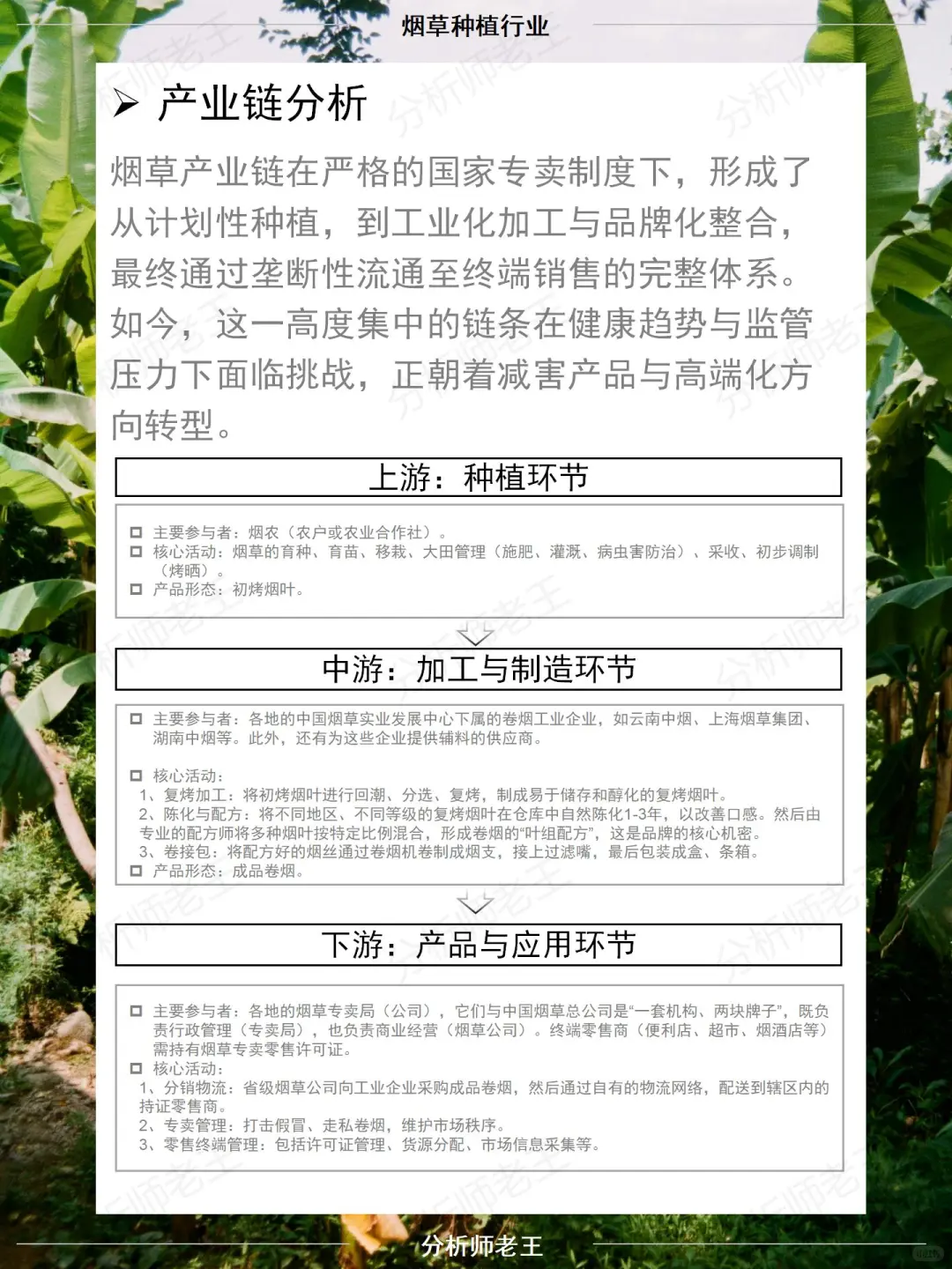 烟草种植行业