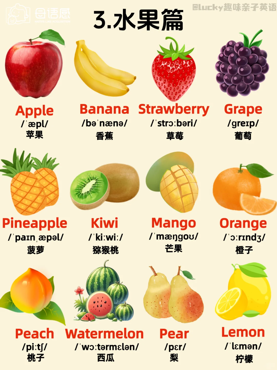 绝了！这英语主题闪卡也太全了吧!!!