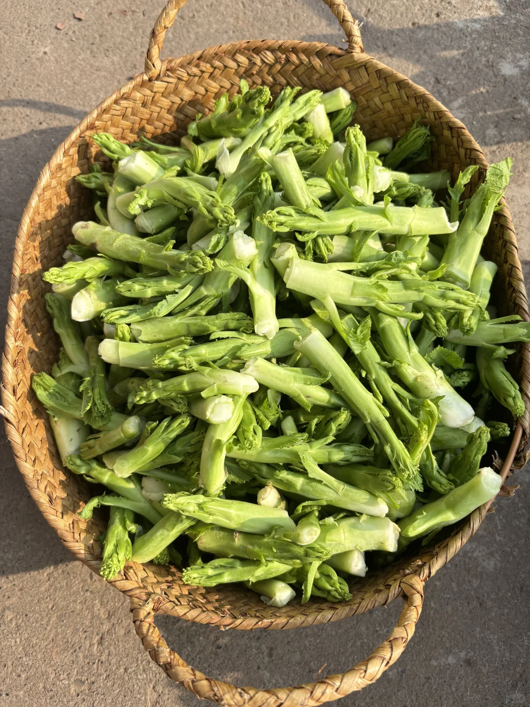 今天给小红书姐妹寄出的露天时令蔬菜拼