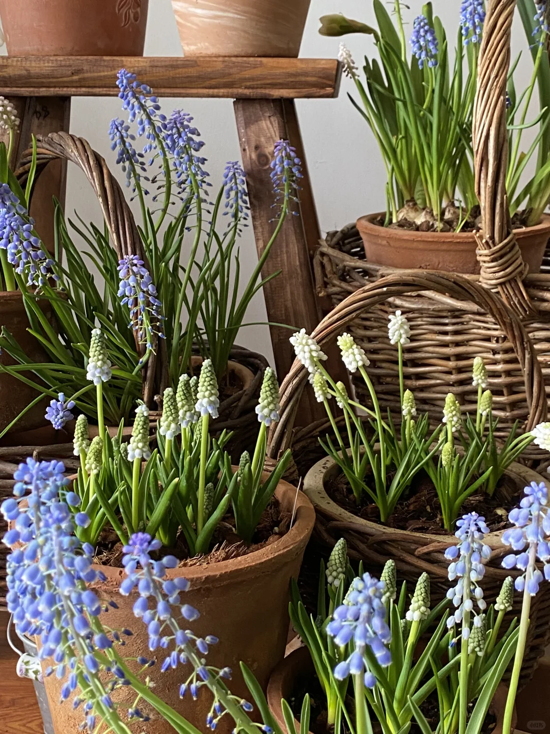 此时此刻我家???