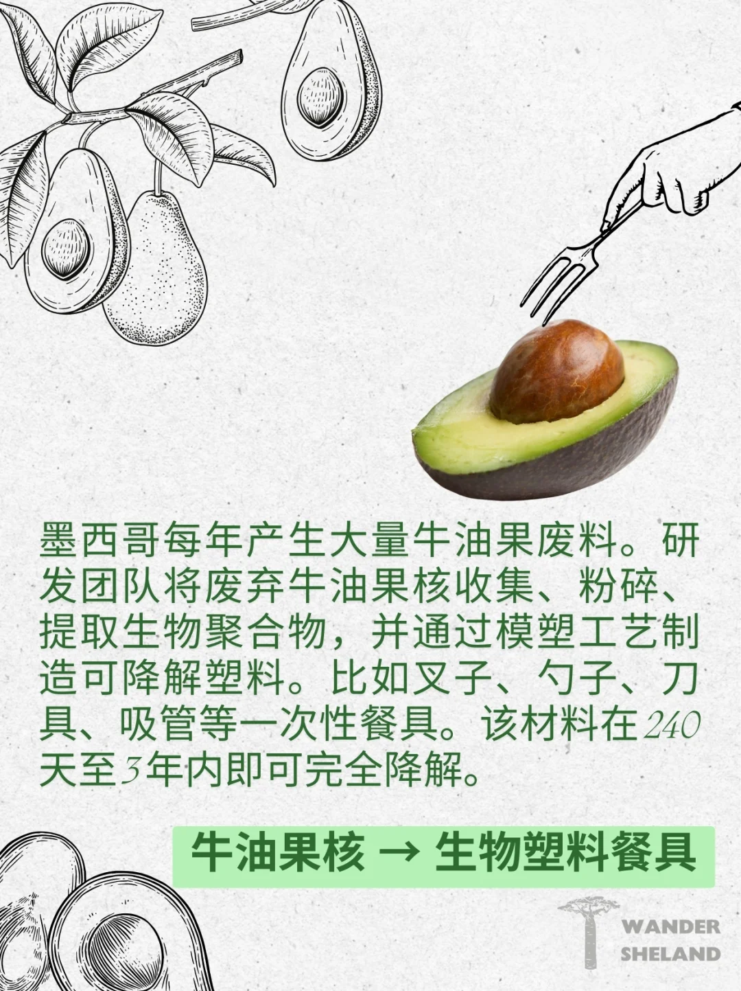 可持续指南｜废弃食材变身新材料 ?