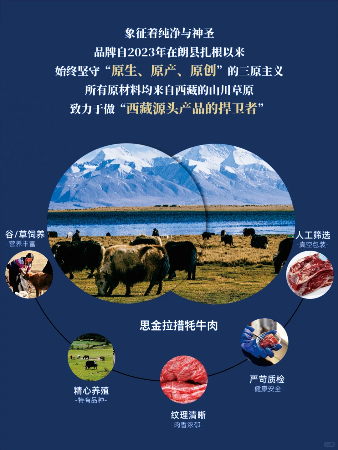 思金拉措牦牛肉 | 把藏地风味带进千家万户！
