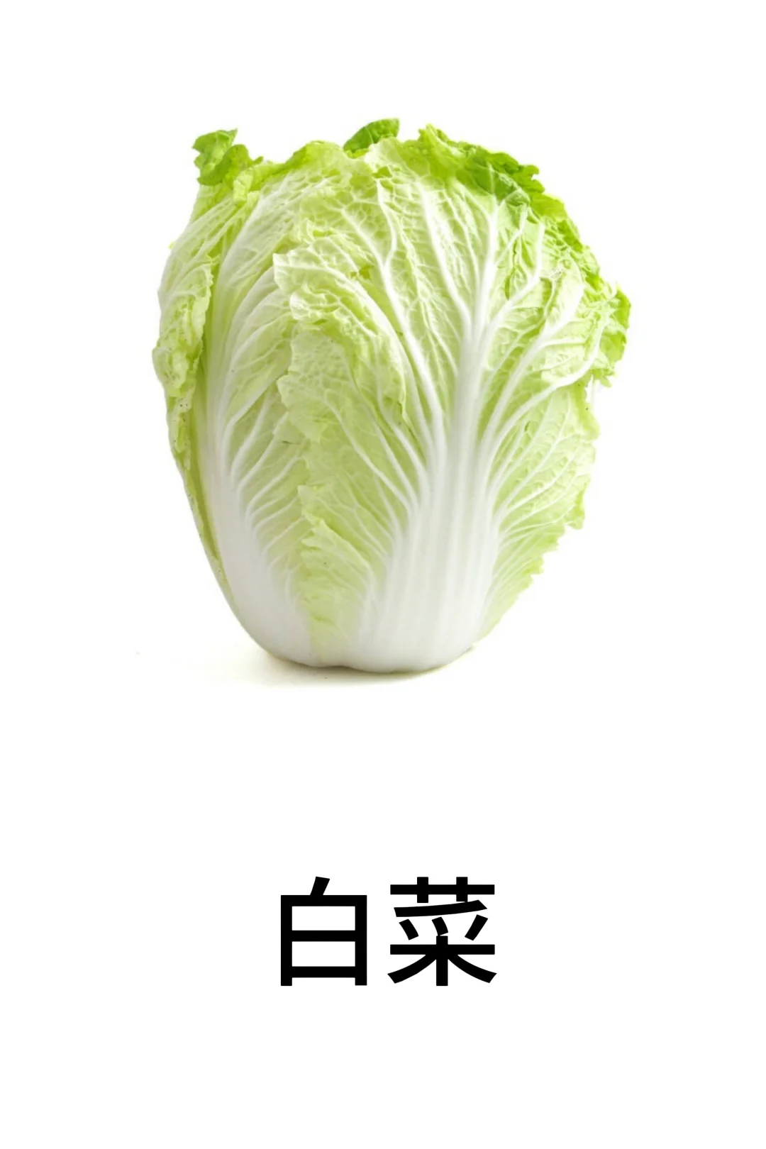 基础认知-蔬菜篇