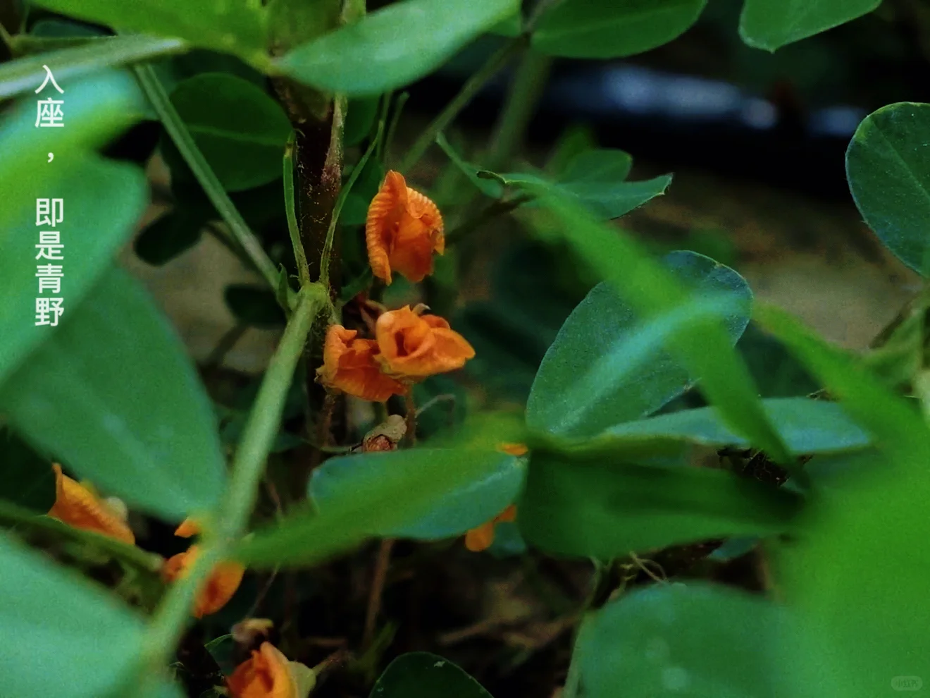 「溯源计划」|和土地一起深呼吸