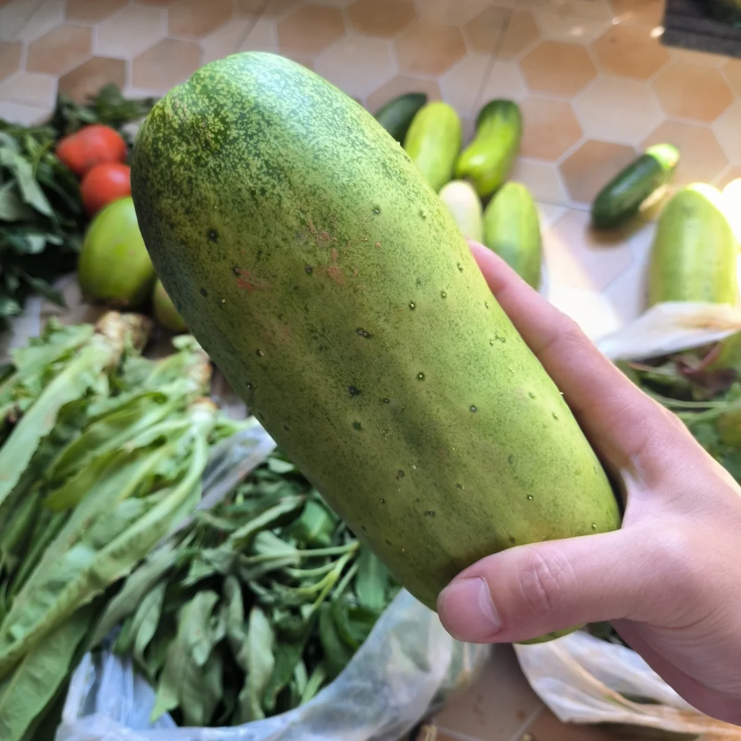 春季的播种迎来了夏季的丰收，自给自足真好