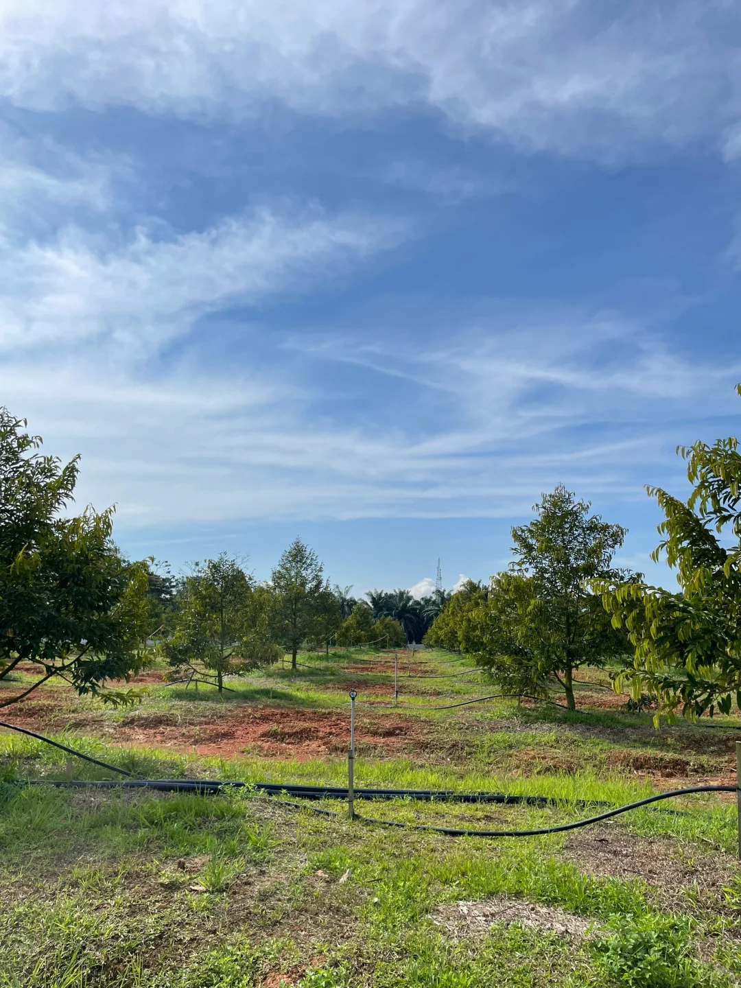 当高科技遇到最传统的农业？！?