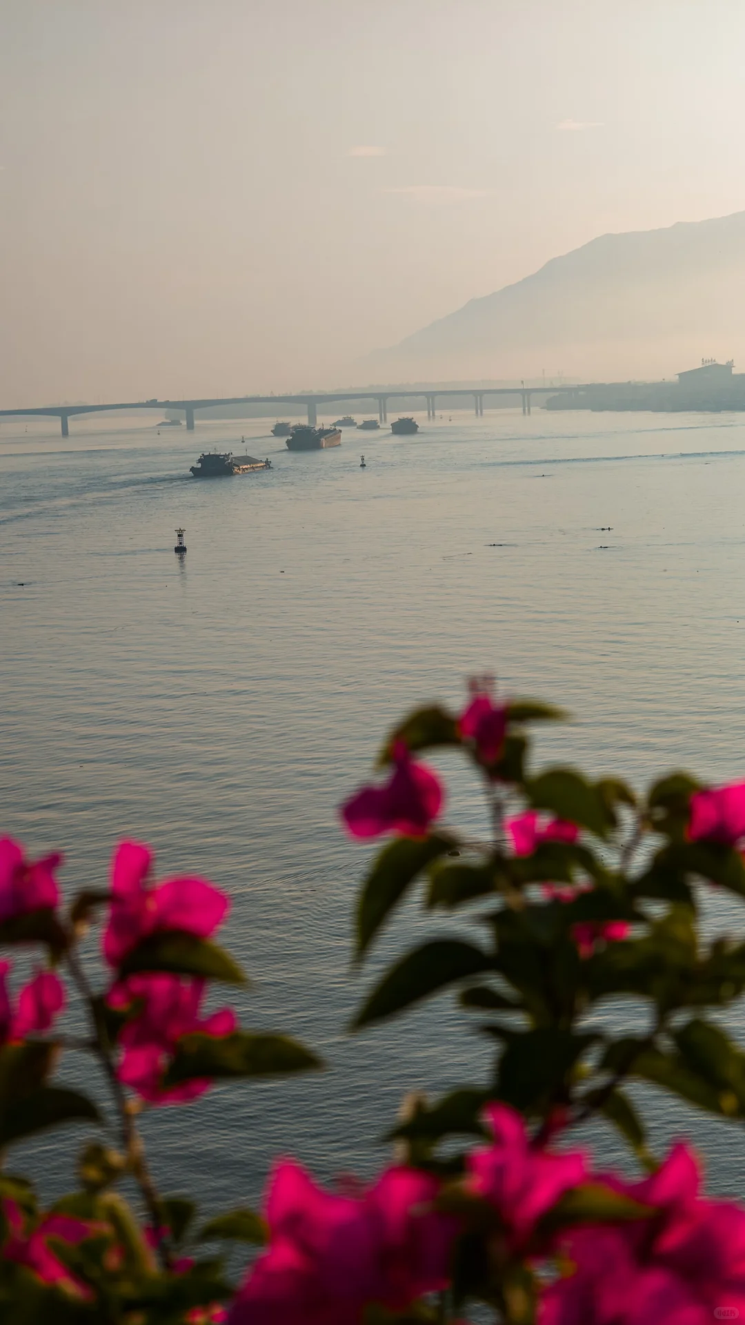 繁忙的北江航运