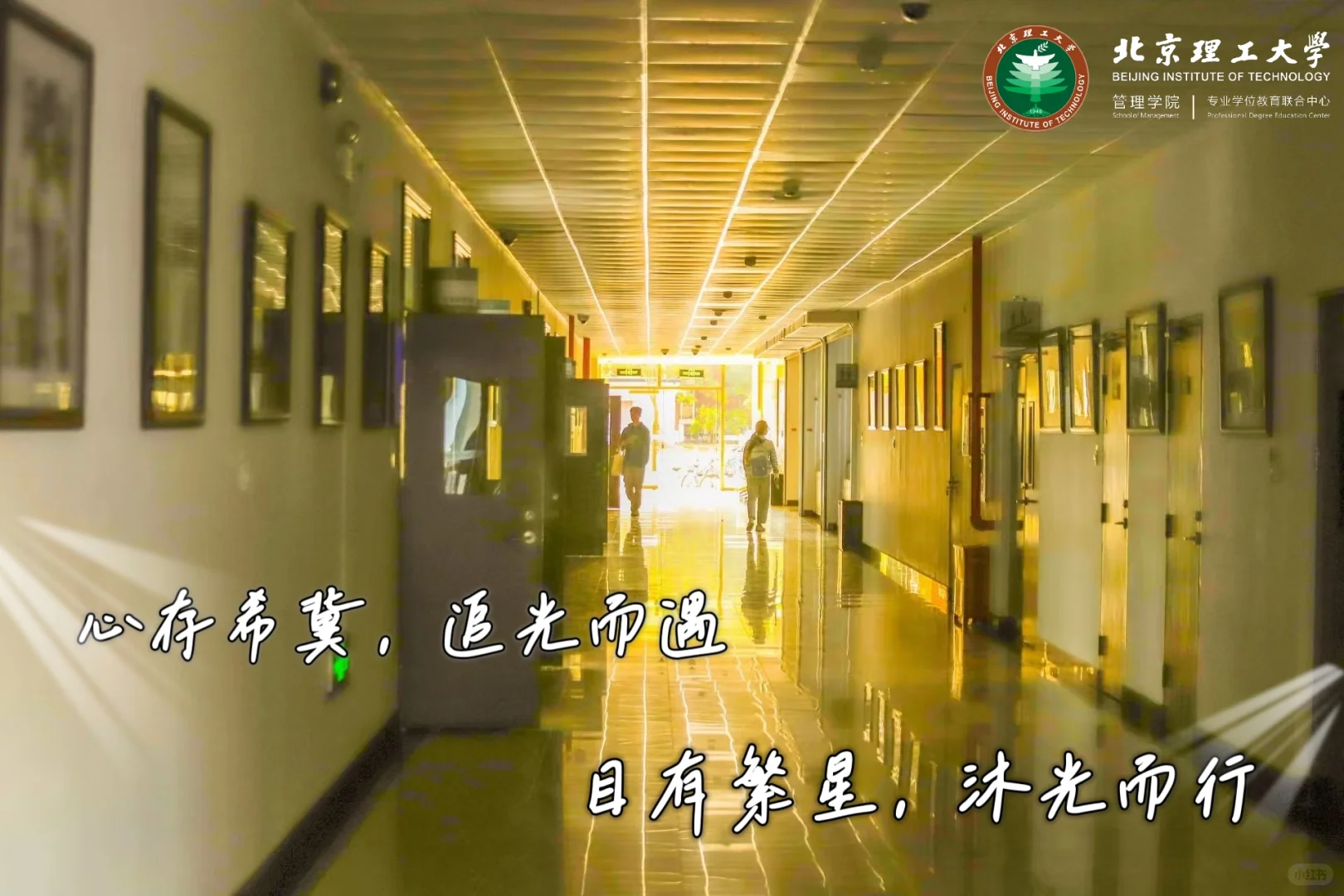 ? 考研人请注意!2026研招网报今晚截止