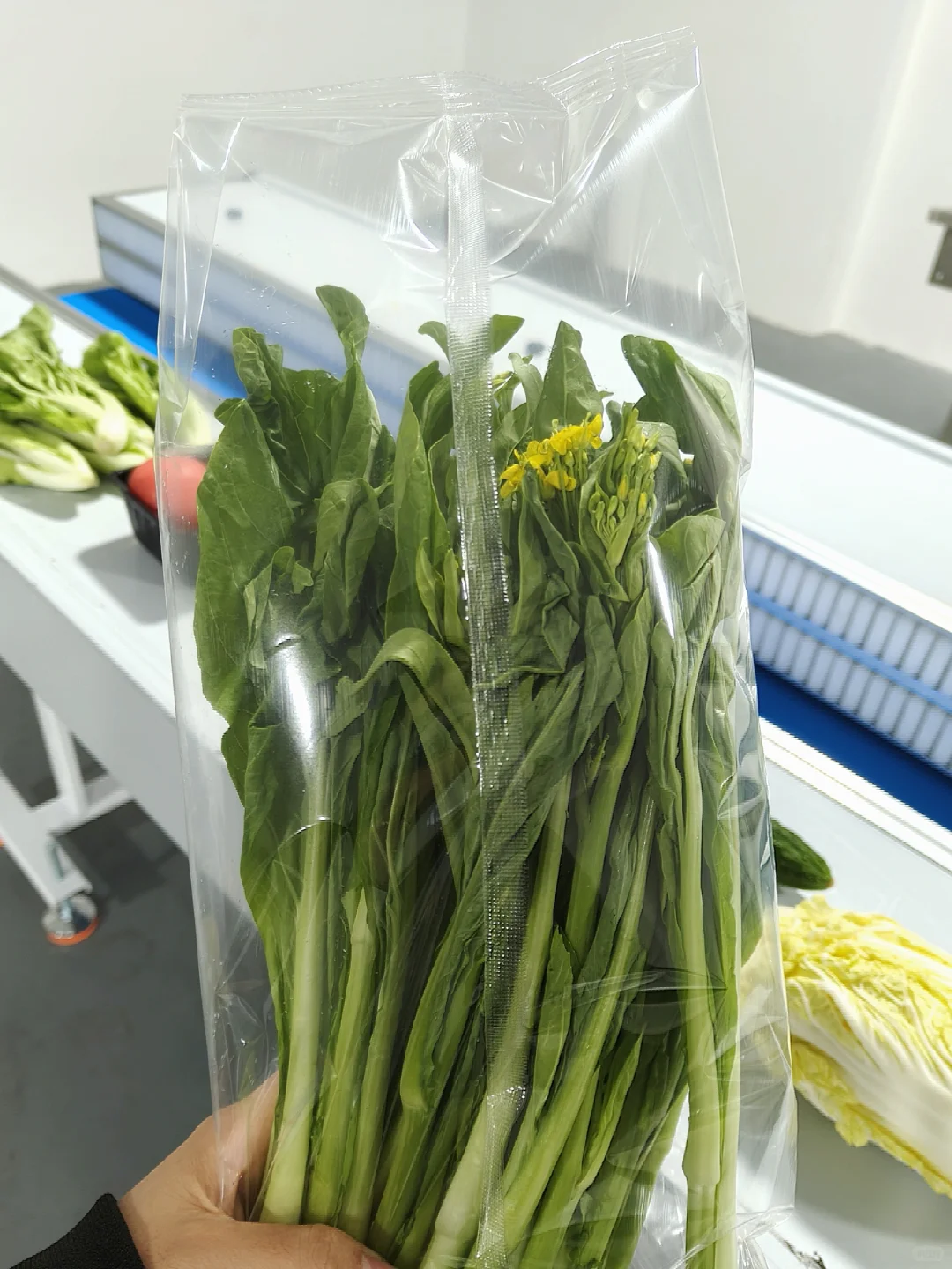 ?救命！这包装机让我爱上打包！?