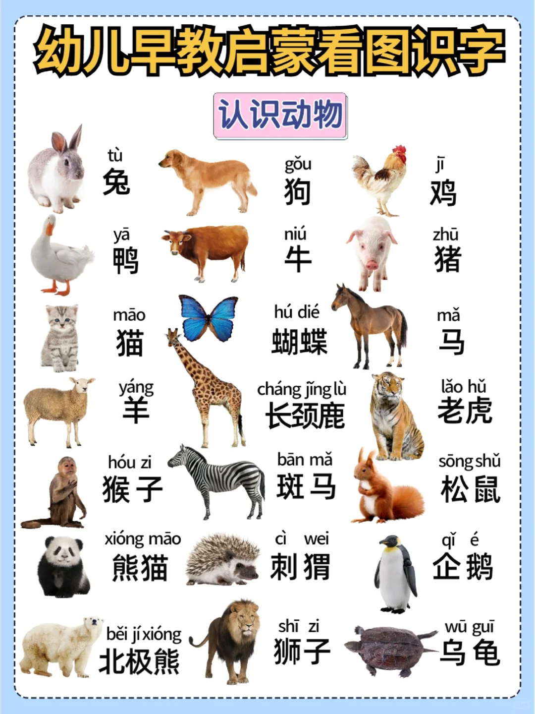 幼儿早教启蒙看图识字 家长教宝宝认字必备