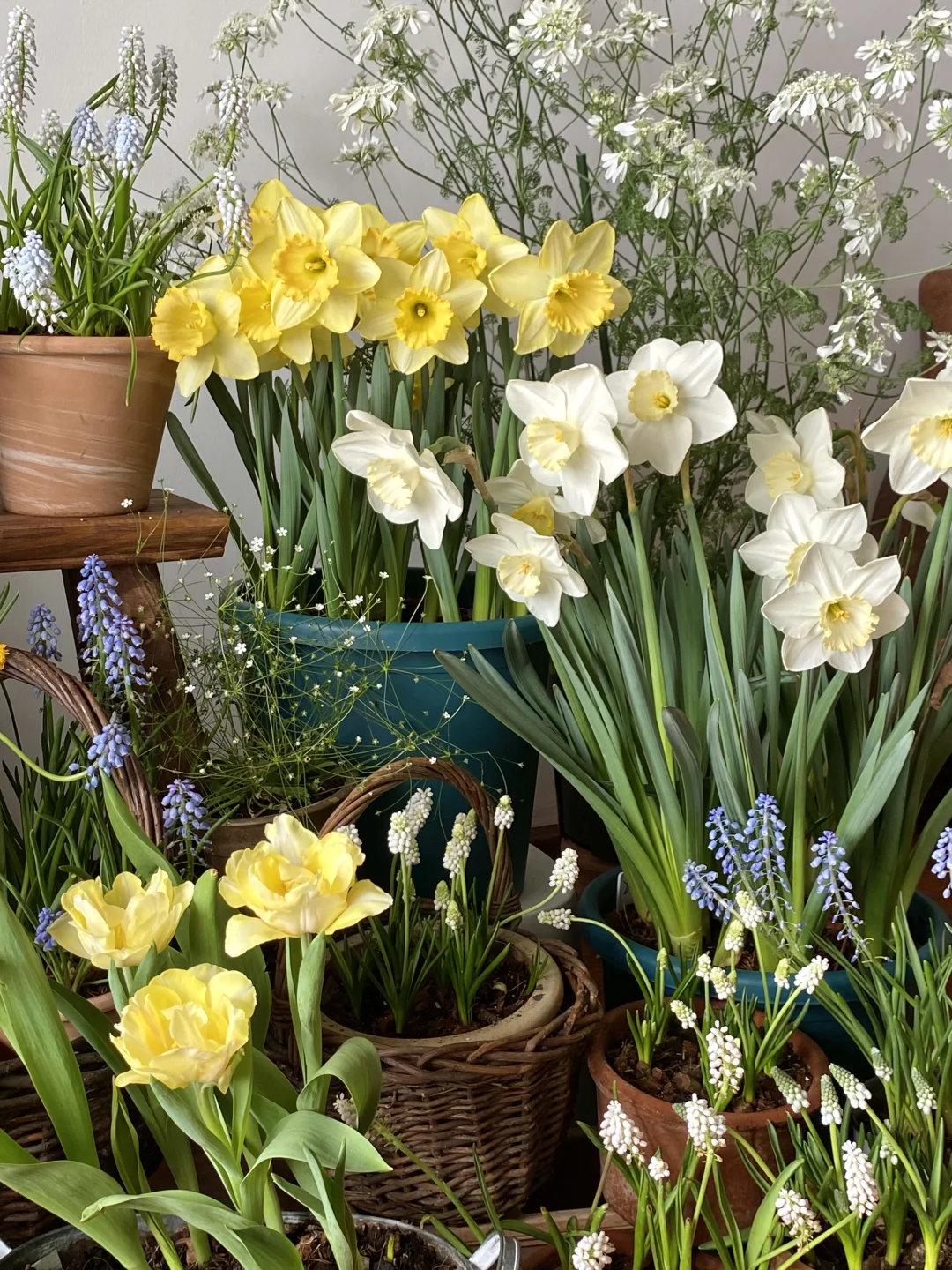 此时此刻我家???