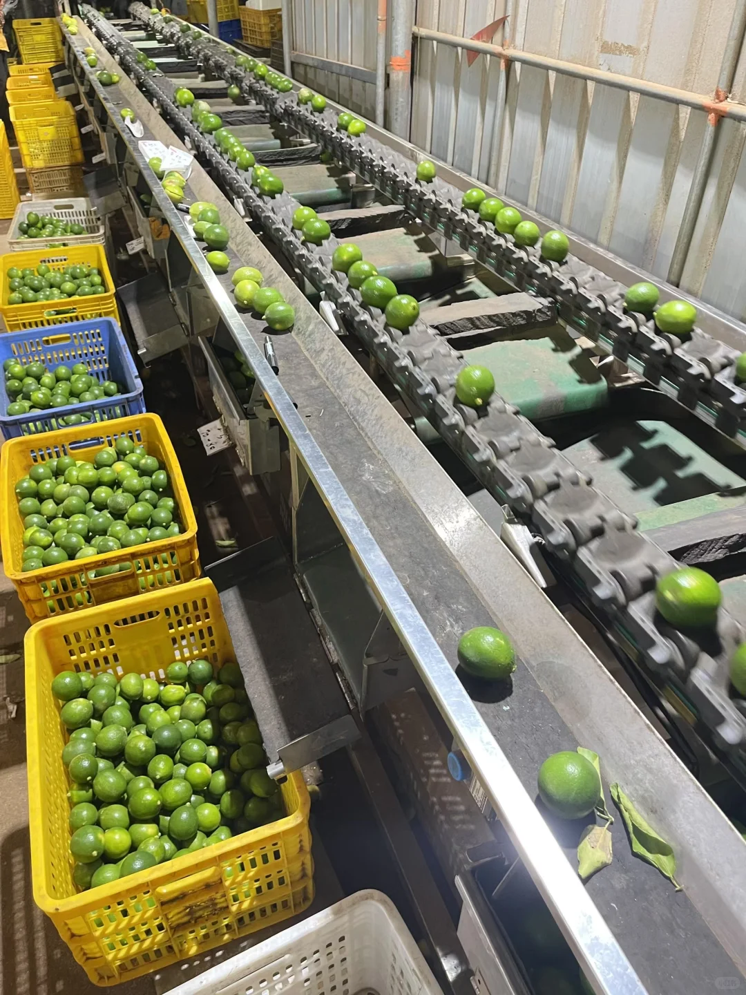 ?小潮人下乡记? Day3～