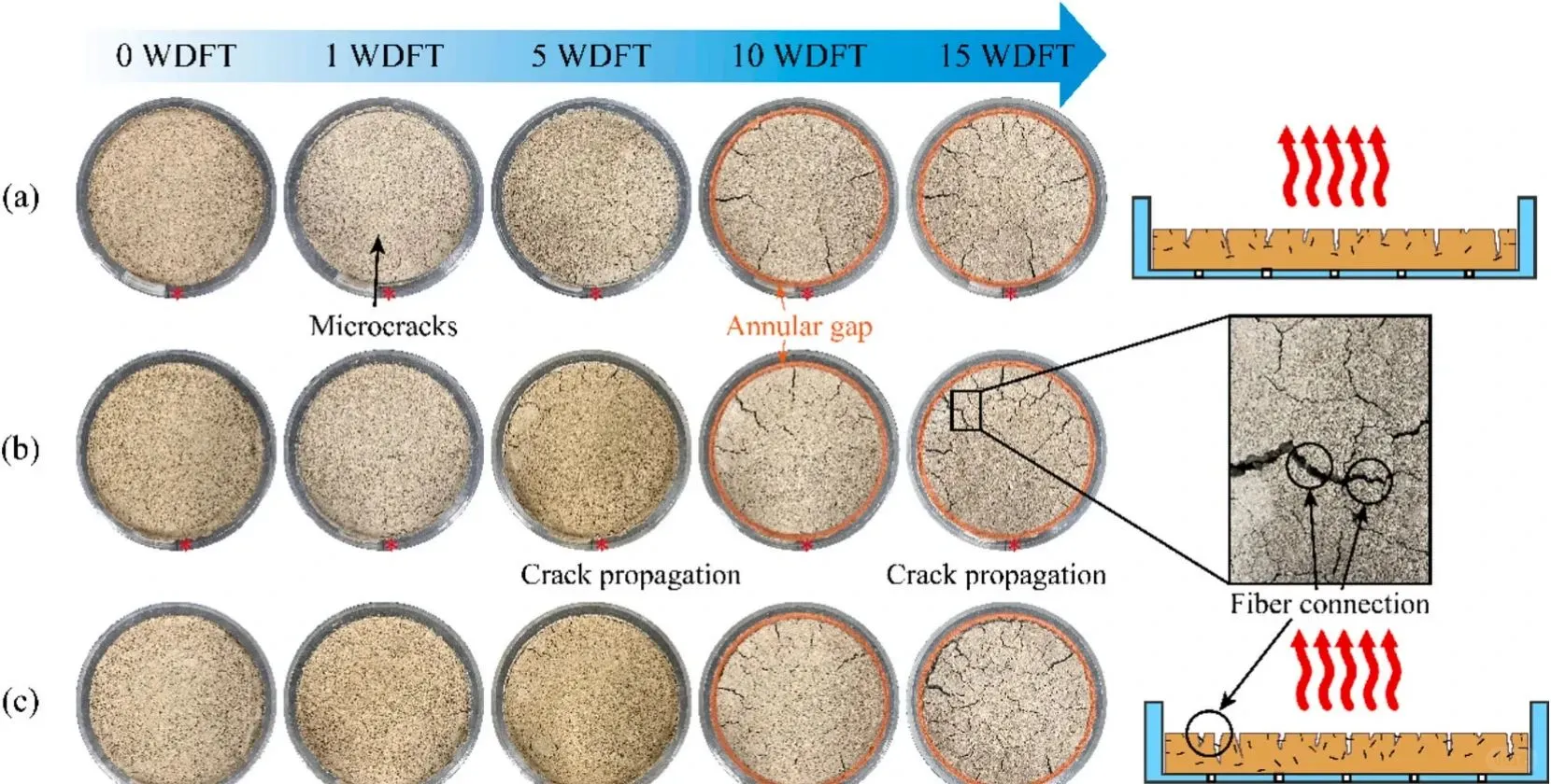 盐渍土开裂难题？复合固化一招破解?