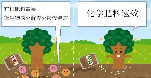 ?有机肥VS无机肥,施肥不再迷茫?