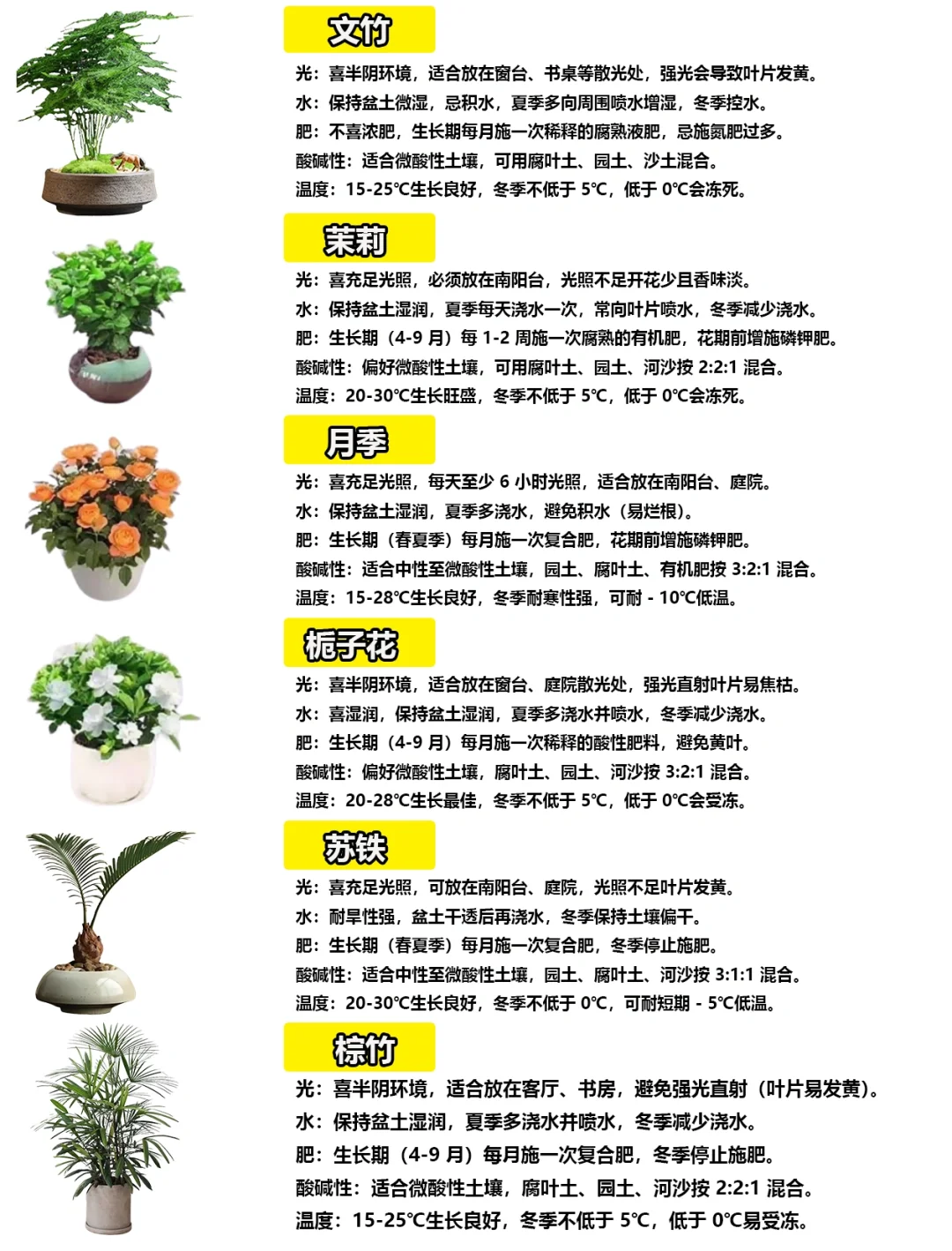 108种绿植花卉养护手册大全