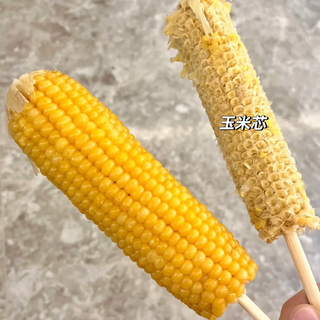 ♻️可持续生活｜厨余垃圾处理