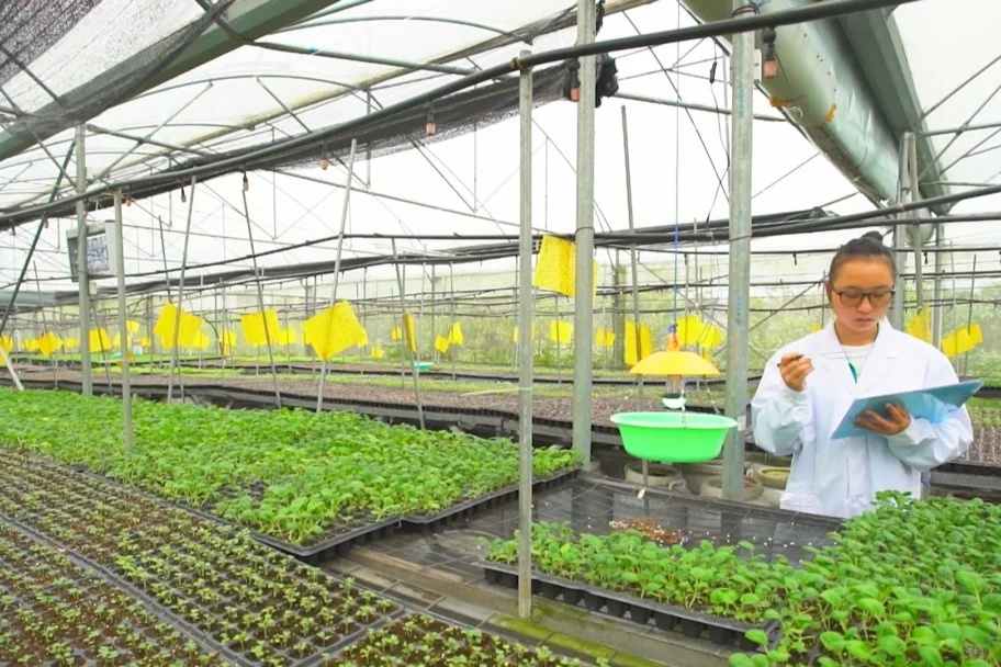 农业不再只是“种地”，而是科技的奇迹！