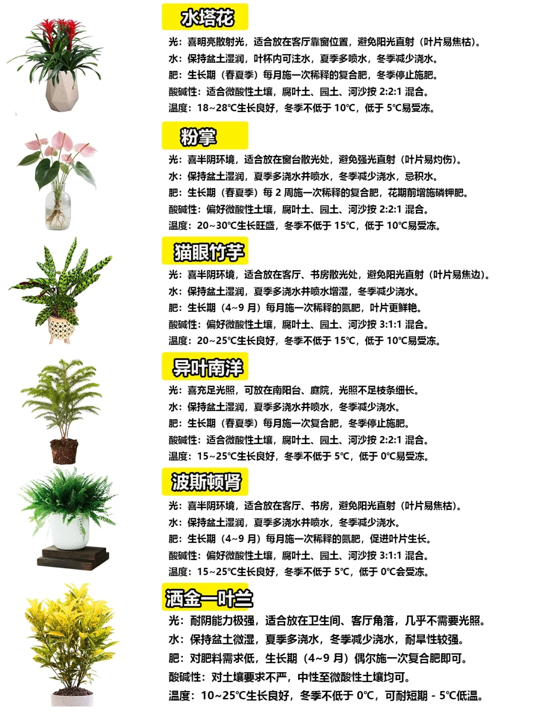 108种绿植花卉养护手册大全