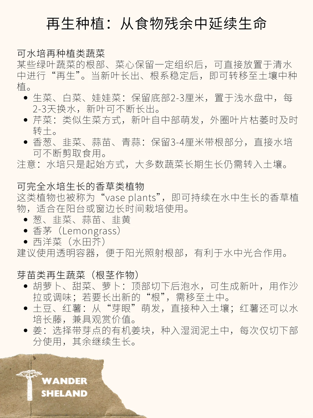 可持续指南｜厨余垃圾再利用 ?