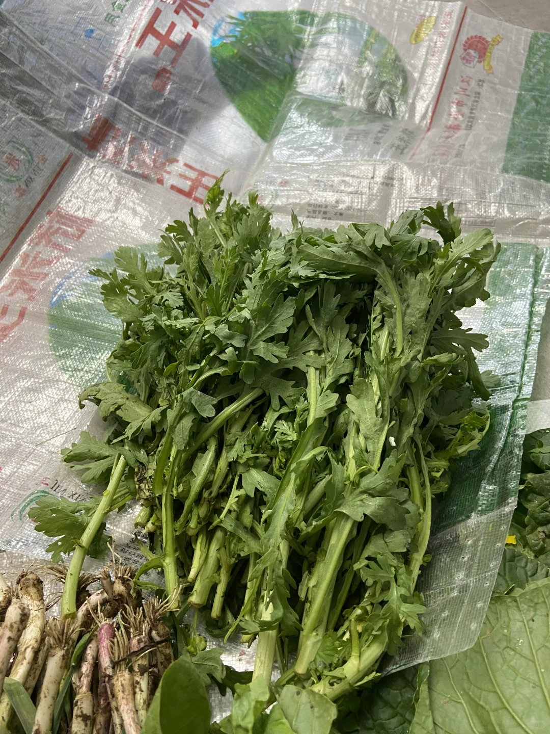 家庭种植有机蔬菜，可与湖北的朋友分享