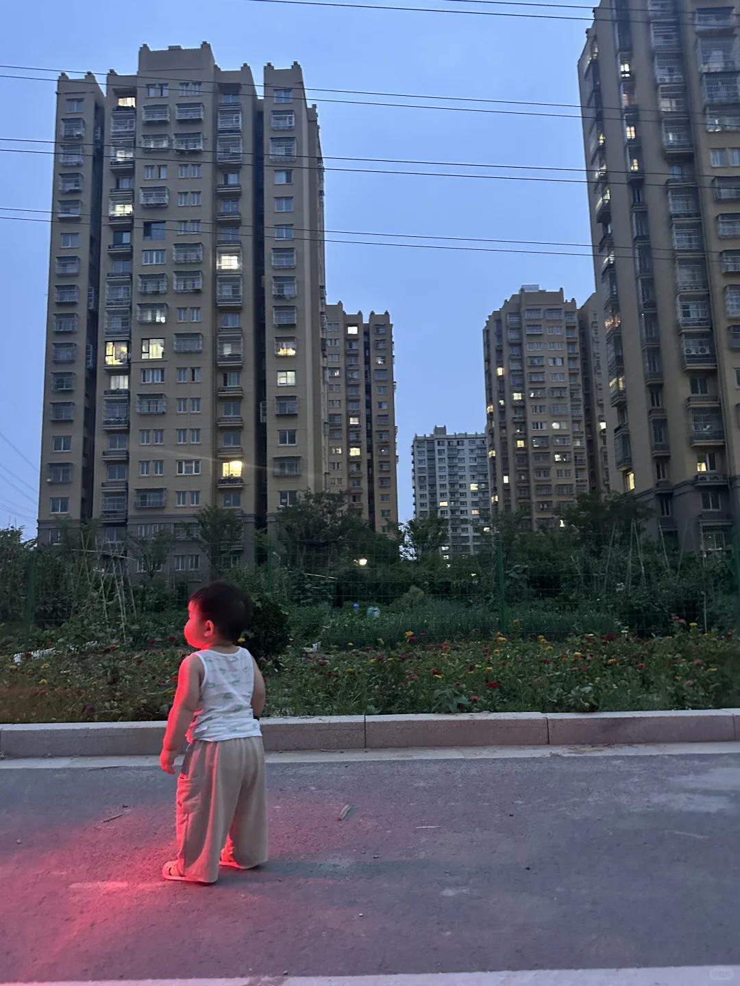 宝宝春季应季蔬菜