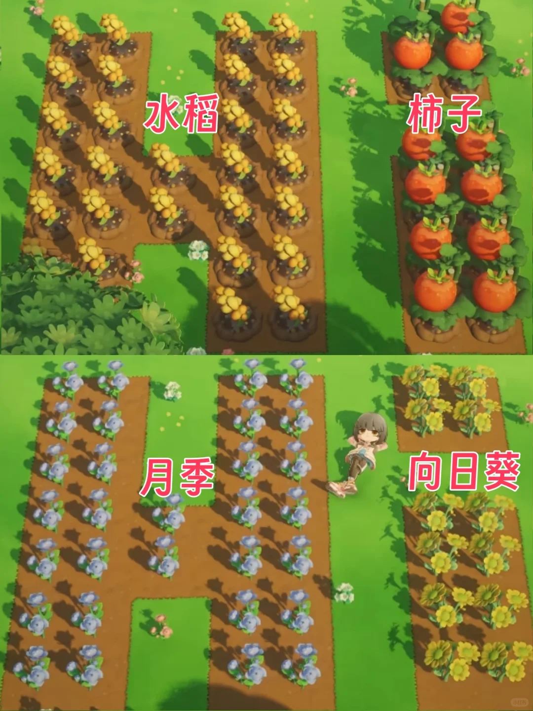 星布谷地PV植物大盘点