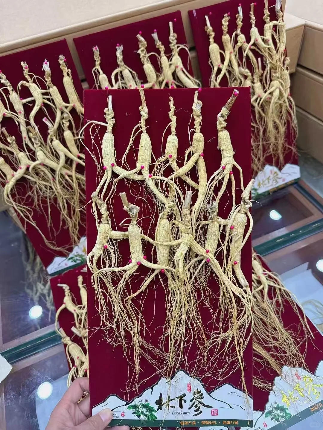 林下籽礼盒