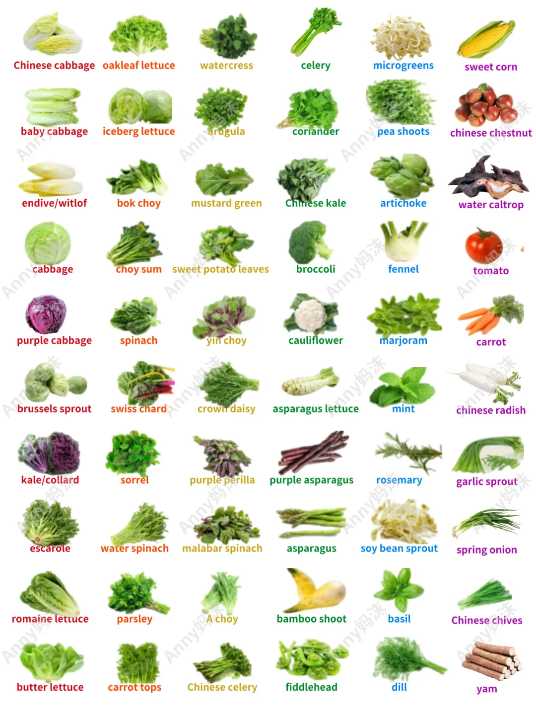 各种蔬菜的英语单词表达集合