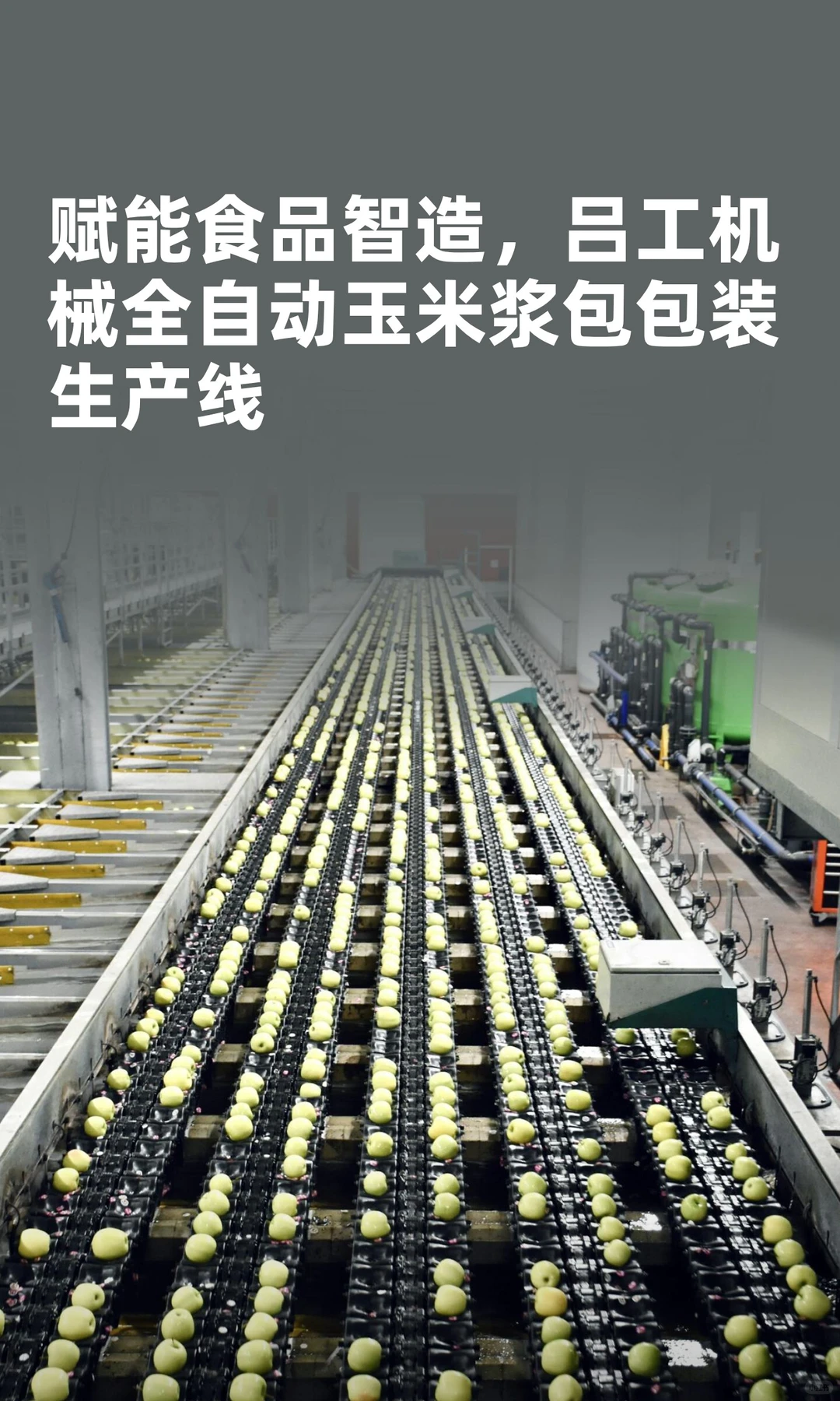 赋能食品智造，全自动玉米浆包包装生产线